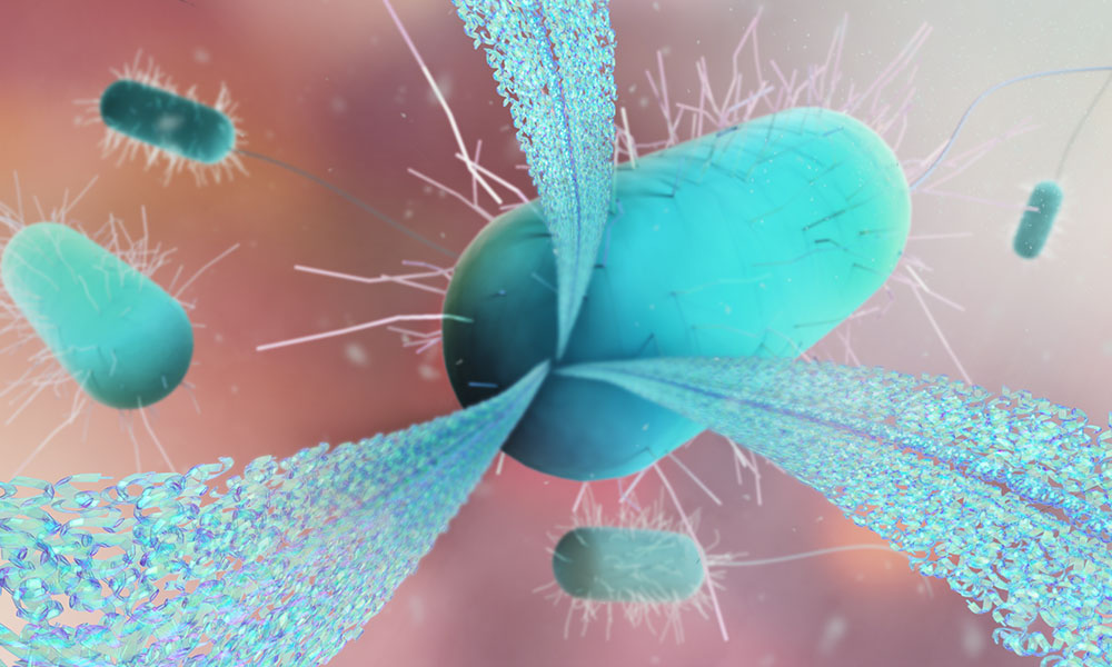 New Alzheimer’s Treatment